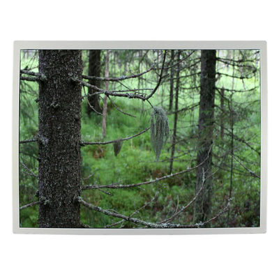 12.1 inch 82ppi lcd screen LQ121S1LG79  Industrial LCD TFT Display
