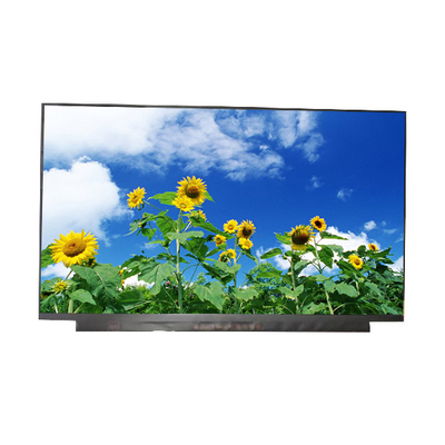 AUO Vertical Stripe 15.6 Inch LCD Panel B156HAN13.0 10pins LCD SCREEN