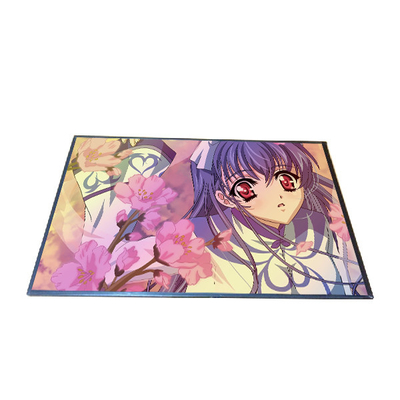 10.1 inch B101EAN02.2 TFT LCD screen display 800*1280