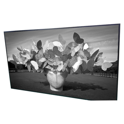 42.0 inch 1920*1080 LCD screen P420HVN01.0 Digital Signage display Panel