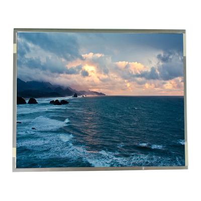 19.0 Inch R190E6-L01 LCD Display Screen For Medical Imaging
