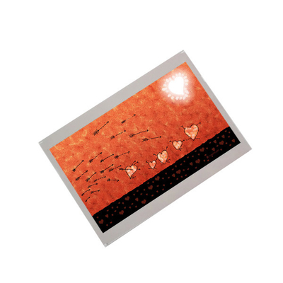 AA070MC12 7.0 inch Resolution 800*480 TFT-LCD Screen Display.
