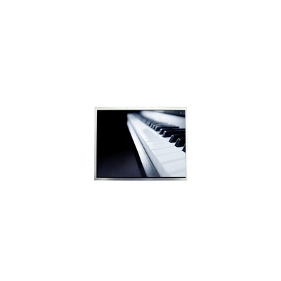 AA104XN11 10.4 inch 1024*768 LCD Display Module