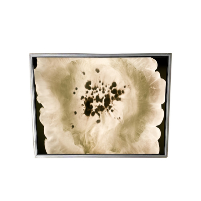 21.3 inch NL204153BM21-02 LCD Screen Display for Medical Imaging