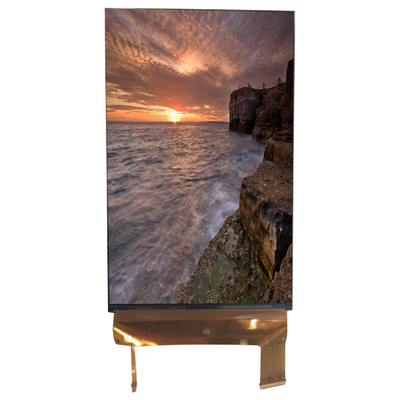 LQ070M1SX01 7.0 inch Screen 1200*1920 LCD Screen Monitor 71 Pins