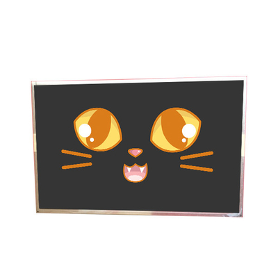 19.0 inch M190PW01 V6 LCD Display for AUO