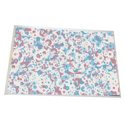 Size 10.1 inch G101EAN02.5 1280*800 149PPI LCD Panel