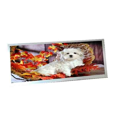 For AUO C123HAN02.5 12.3 inch 40 pins LCD Display