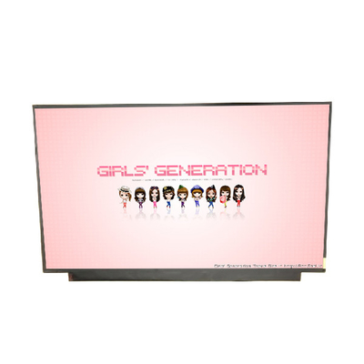 17.3 inch a-Si TFT-LCD B173ZAN02.0 255PPI LCD Screen
