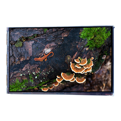 VVX07H005A00 7.0 inch 450 cd/m2 LCD Screen Display Panel