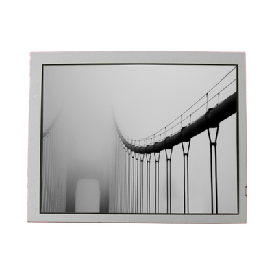 LT065AC57400 LCD Screen Display 6.5 inch LCD panel