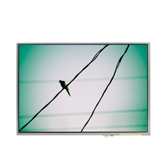 LTD121EA8K 12.1 inch 1024*768 LCD Screen Display Panel