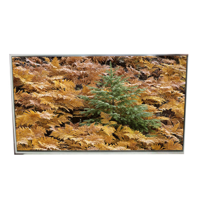49.0 inch 3840*2160 LD490EQG-FNA4 Lcd screen for Digital Signage