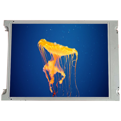 SX16H005-ZZA 6.2 inch 640*240 LCD Screen Panel For Industrial