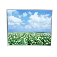LM190E08-TLM1 19.0 inch LCD Screen Module for Desktop Monitor