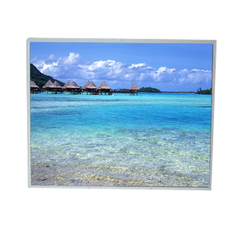 LM200WD1-TLB1 20.0 inch TFT LCD Screen for Desktop Monitor