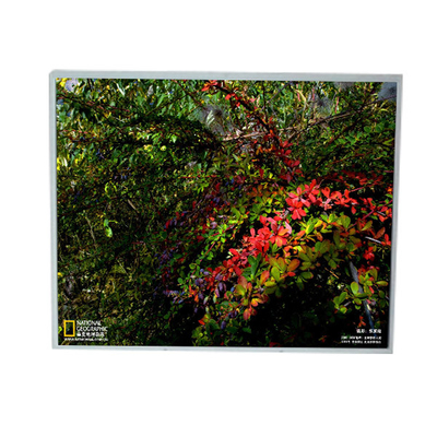 LM201U1-A3 20.1 inch 1600*1200 LCD Display Panel Modules