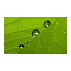 LM270WF9-SSA1 27.0 inch LCD Panel 1920*1080 TFT LCD Display
