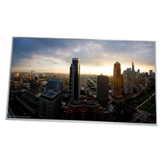 LM300W01-A4 30.0 inch LCD Screen Module for LG