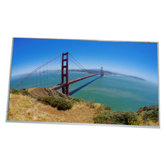 LM315STA-SSA1 LCD Panel Module 32.0 inch LCD Panel Screen