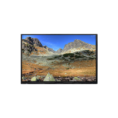 BP101WX7-210 10.1 inch LCD screen LCD Display