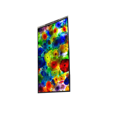 BS060WKE-LB0-6Q00 6.0 inch LCD Display LCD screen PANEL For Mobile Phone