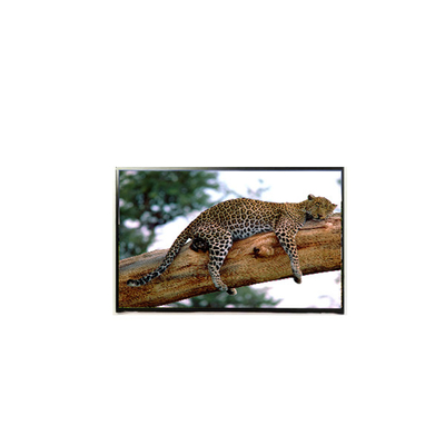 LP141WP1-TLE6 14.1 inch 60Hz LCD Panel 1440*900 LCD Screen
