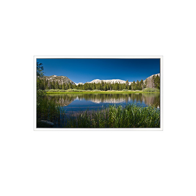 65inch 3840*2160 DV650QUB-R01 1.07B 72%NTSC LCD Screen Panel