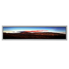 3840*600 75 inch DV860FBM-N10 60Hz 1200 : 1  LCD Screen
