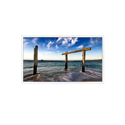 21.5 inch GV215FHM-N12 1920*1080 LVDS LCD Screen Monitor