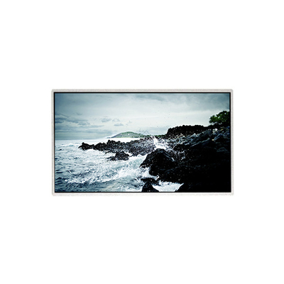 1366*768 HF236WHB-F20 23.6  inch LCD Screen Display Panel