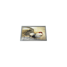 13.4 inch LQ134R1JX41 3840*2400 LCD Screen FOR Laptop LCD Panel