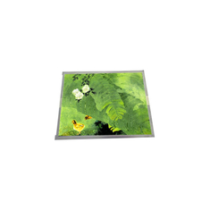 LQ150X1DR55 15.0 inch 1024*768 330 cd/m2 LCD Screen Panel