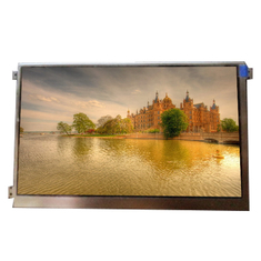 LD079X01-SHC4 7.9 inch 768*1024 LCD Screen Display