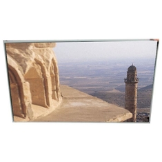 LD650DUF-FGB1 65.0 inch FHD 16.7M LCD Panel Module
