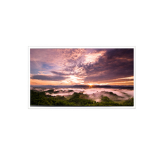 18.5 inch QV185FHM-N80 1920*1080 LCD Panel for Industrial