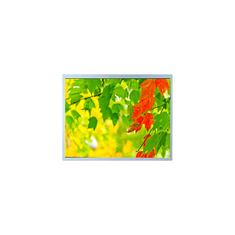 14.1 inch 1280*800 G141I1-L01 700 cd/m2 LCD Screen FOR Automotive Display