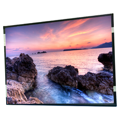 20.8 inch R208RFE-L05 LCD Screen Panel