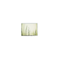 PD057VT3 5.7 inch 640*480 Touch 262K LCD Screen Module
