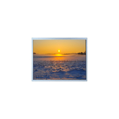 new 400*234 PW065XS5 6.5 inch LCD Screen Panel Display