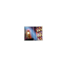 5.0 inch AM-320234A50TMCW-00H 320*234 430 cd/m2 LCD Screen Panel
