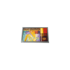 NEW 800*600 7.0 inch AM-800600JTMQW-TA0H TFT-LCD Touch screen Monitor