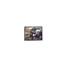 DMF5010NBU-FW 5.2 inch 70Hz LCD Screen Display Panel