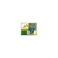 240*64 5.2 inch DMF5010NBU-FW-BD 20 pins LCD Panel Screen