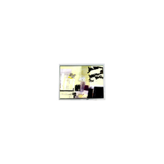 DMF50260NFU-FW-8 9.4 inch  640*480 LCD screen for OPTREX