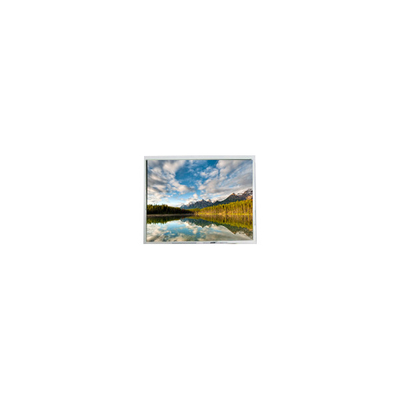 Hot Sell 10.0 inch 1200*1600 HSD100GBN1-029901-PX LCD Display