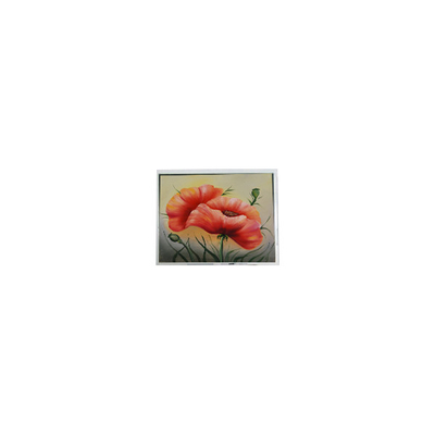 new 7.0 inch ETM070001BDHA 800*480 PCAP LCD screen Module
