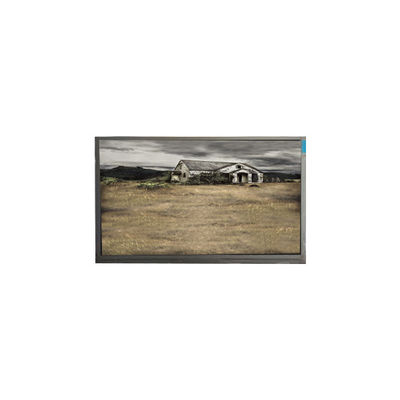 Original 10.1 inch P101GWWF R0 1280*800 LCD Panel for Tablet