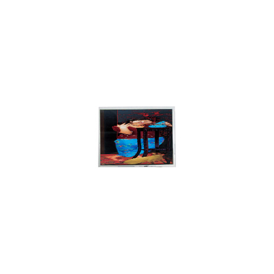 7.0 inch GPM1335A1 800*480 60Hz LCD Display Panel
