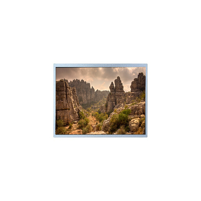 DK123IA-01A 12.3 inch LCD screen for Outdoor High Brightness